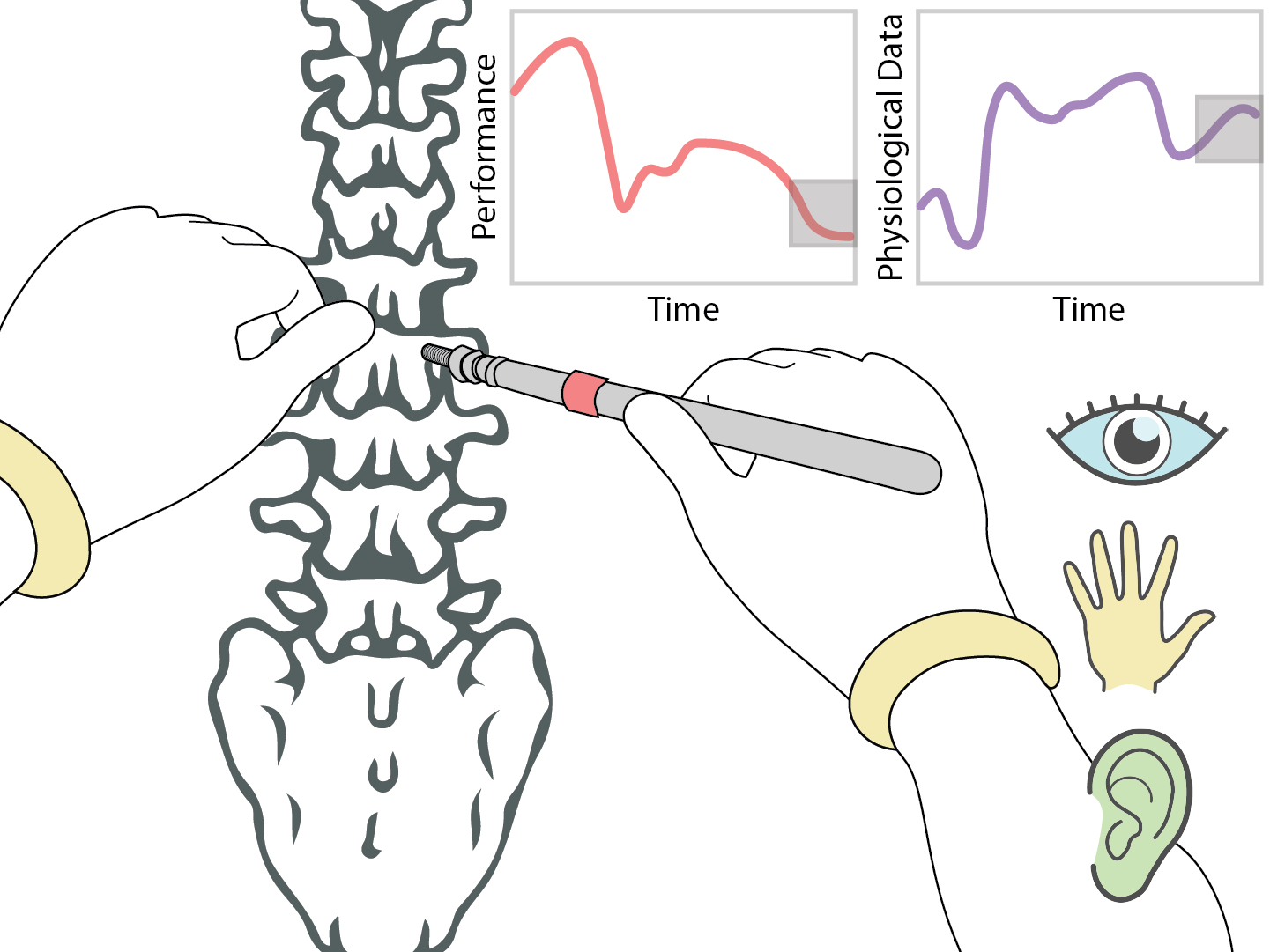 Surgical or health training system with adaptive visual, audio, and haptic feedback